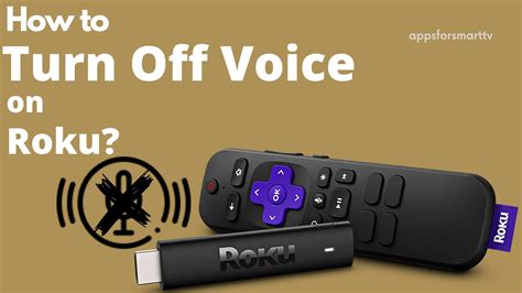 How To Turn Off The Voice On Roku 5 Easy Steps To Turn Off Roku Voice Assistant » Learn More